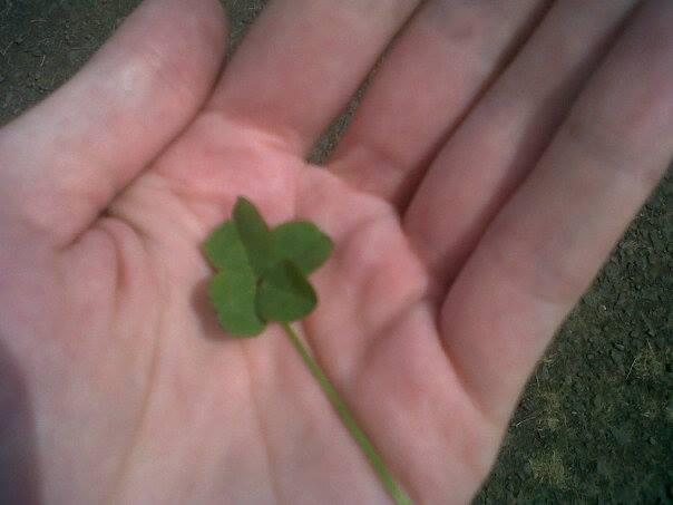 1000059_617375494947528_436488869_n